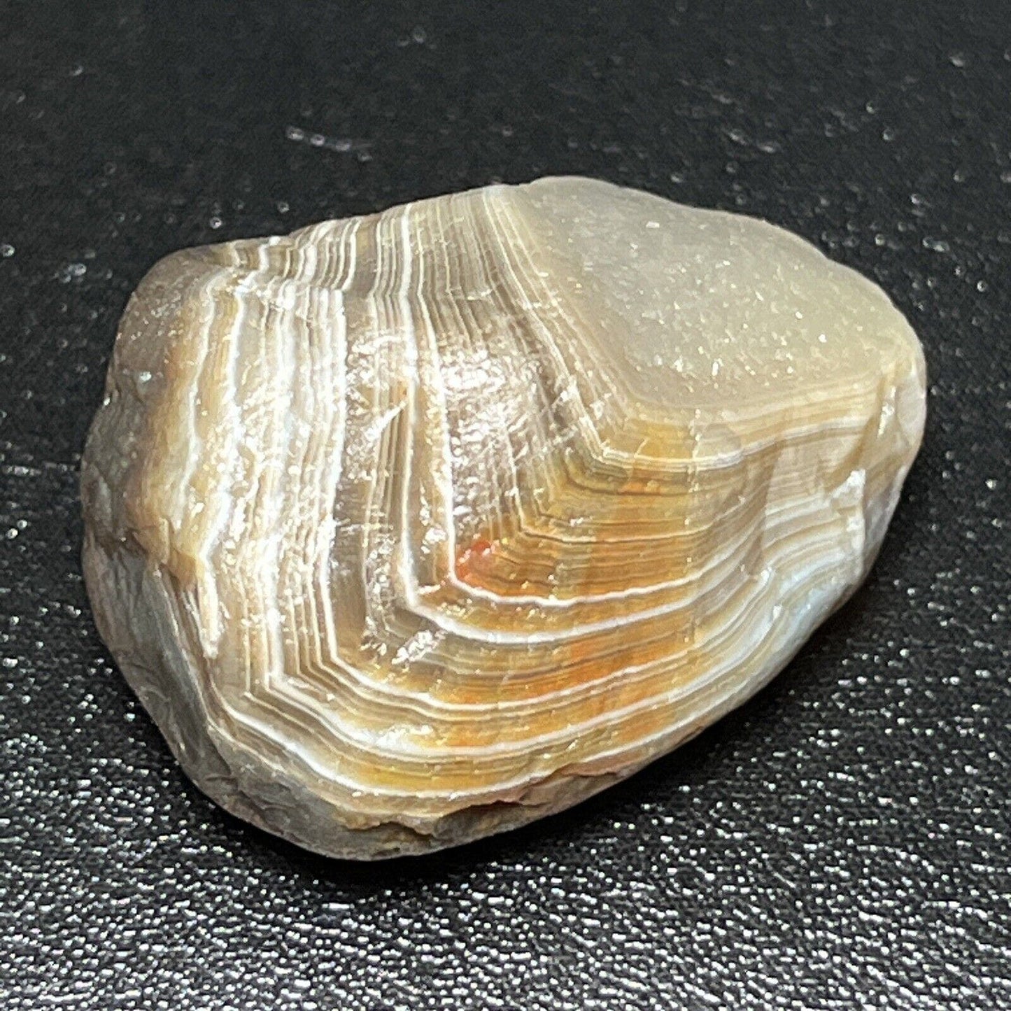 .8 oz Tight Banded LSA With Clean Quartz Plug.