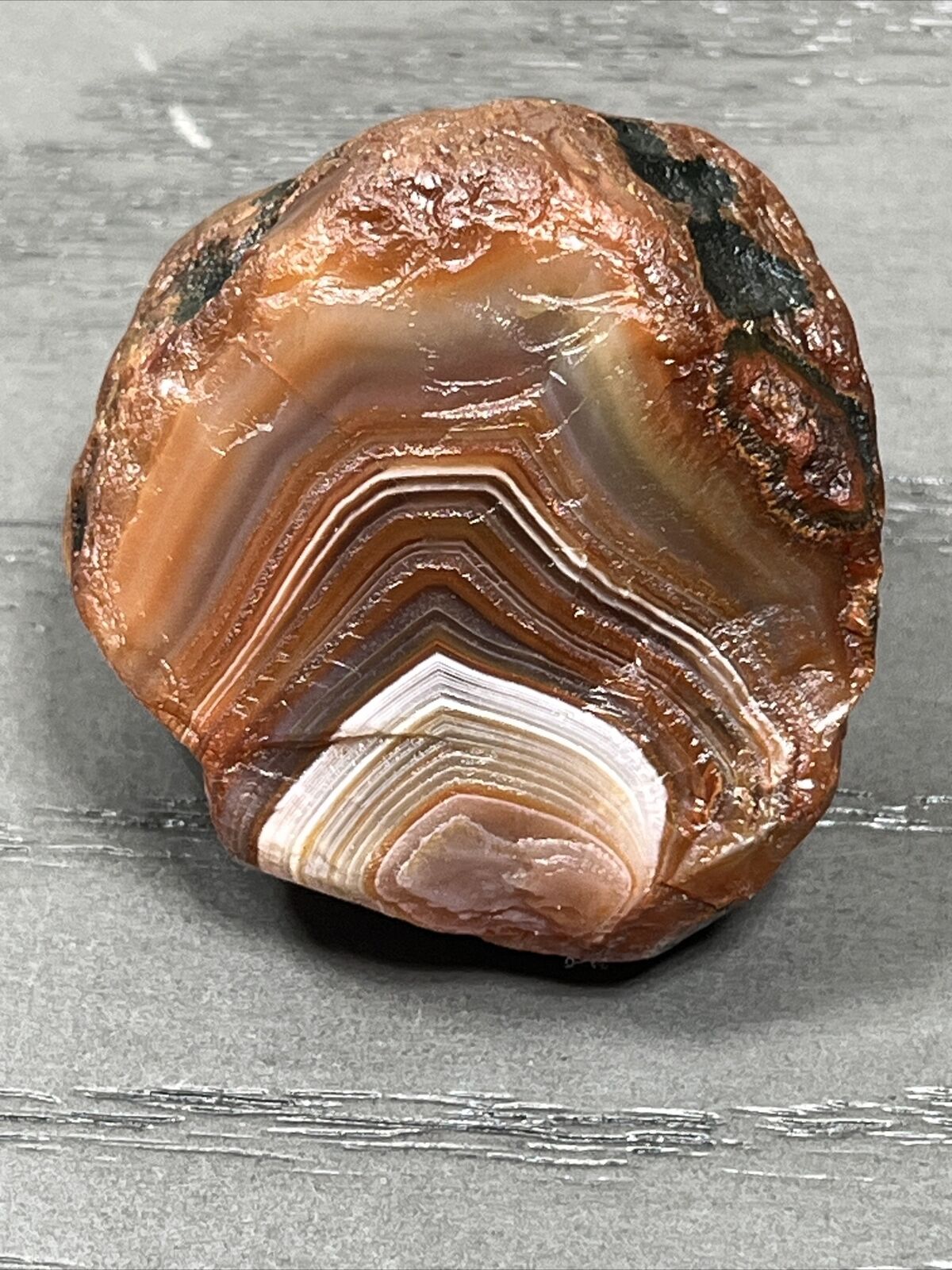 2.5 oz Lake Superior Agate. Mn State Gemstone.