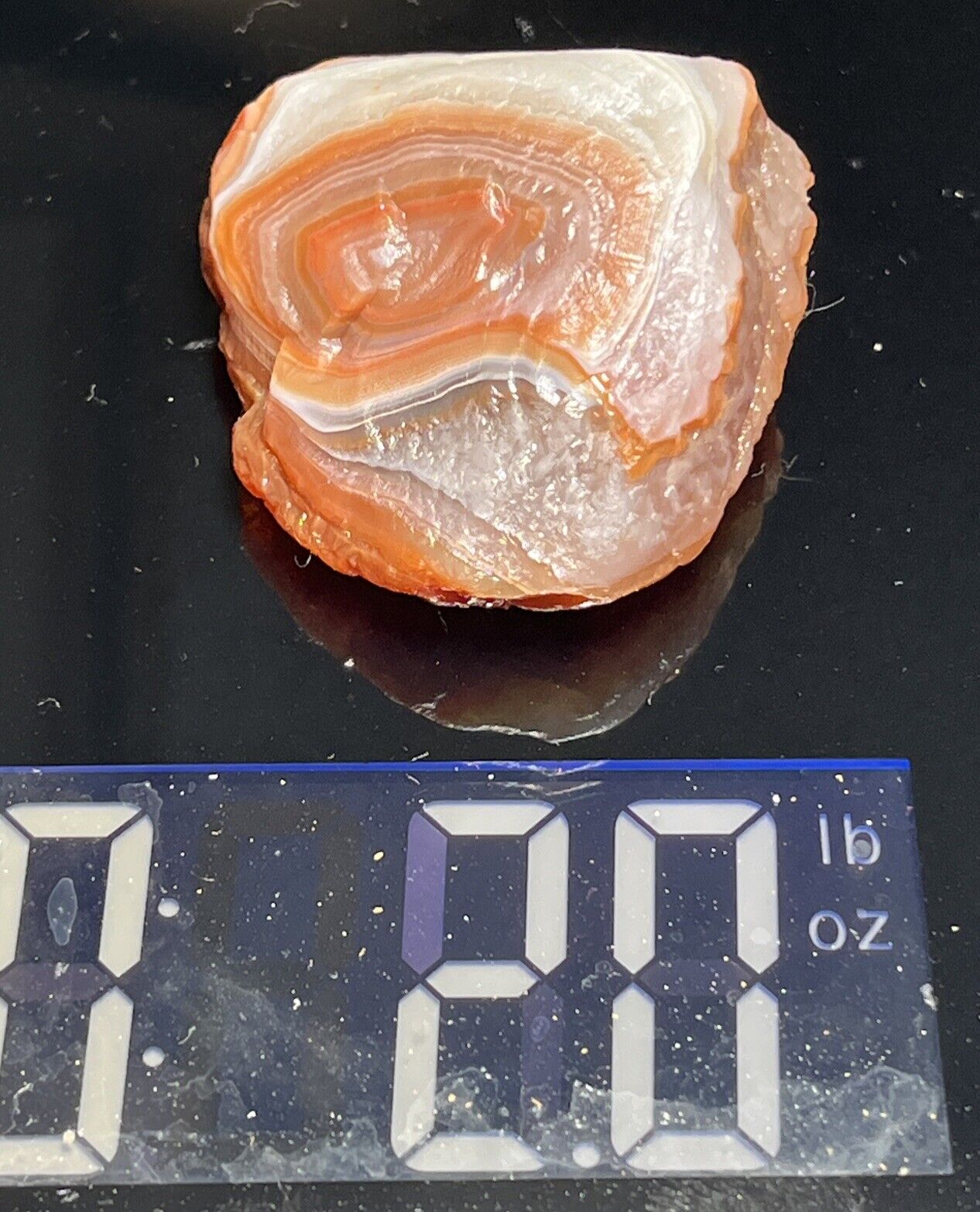 2 oz Gorgeous Floater Lake Superior Agate. Mn State Gemstone.