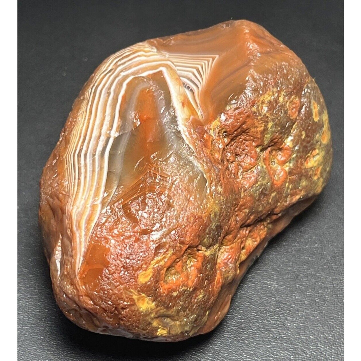 7.6 oz Classic Red & White Fortification Banded Lake Superior Agate.