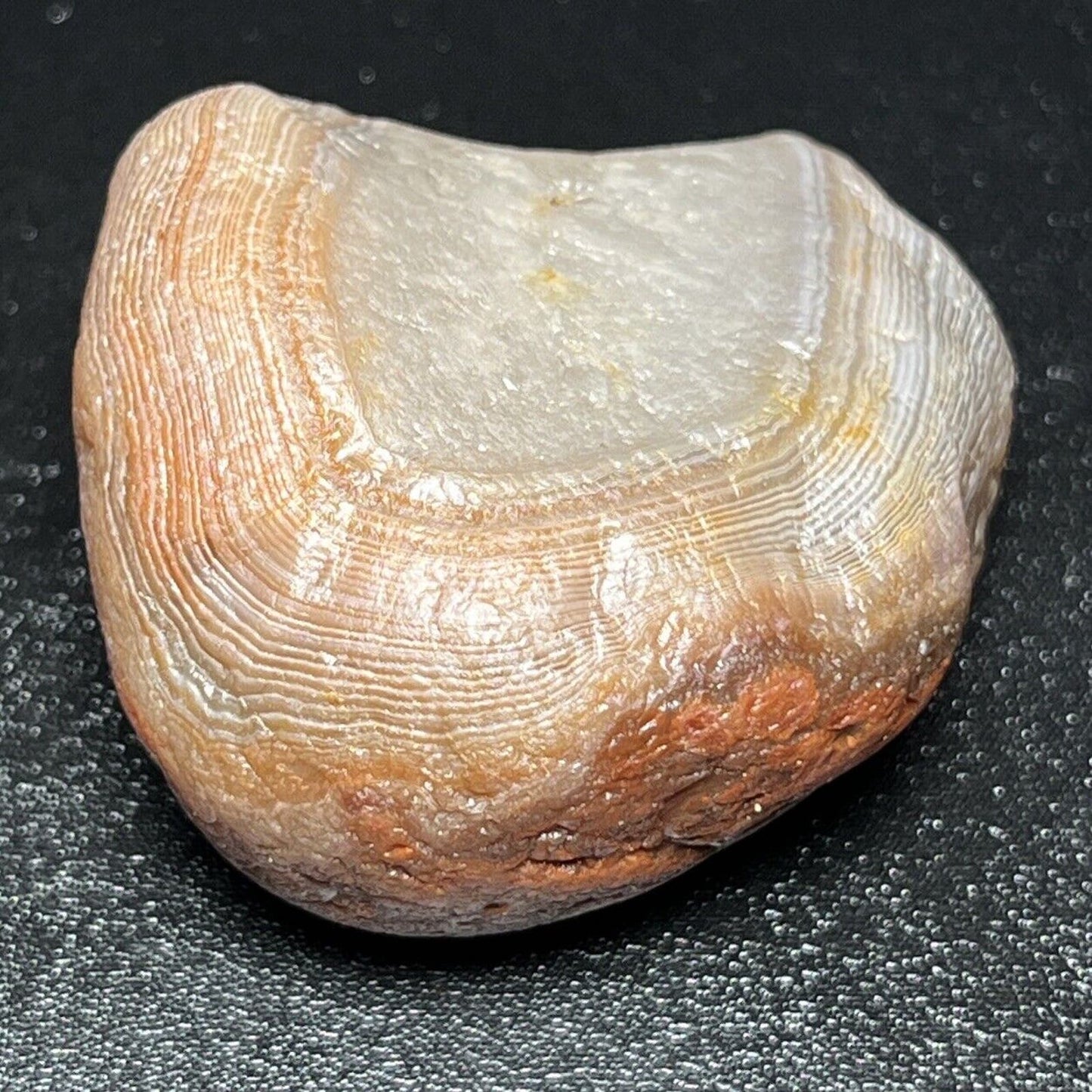 2.5 oz Red & White Banded Lake Superior Agate With Quartz Plug.