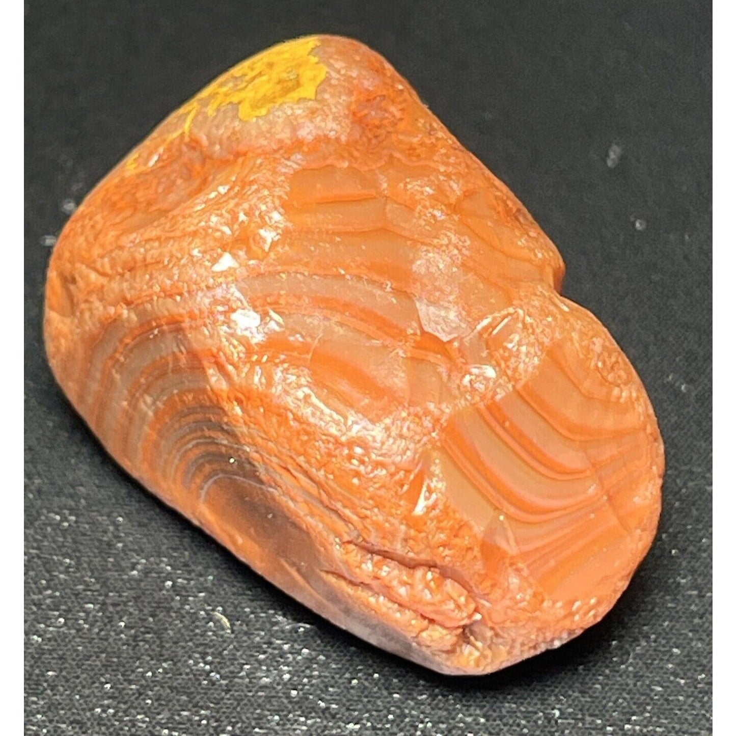 1.1 oz Deep Banded Paint Lake Superior Agate.