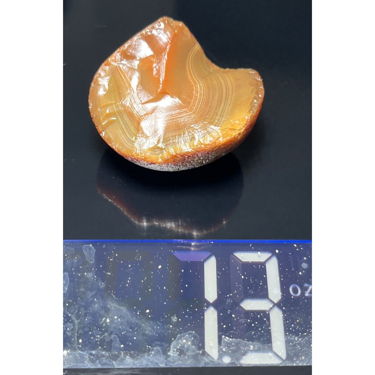 1.3 oz Well Banded LSA. Rich Colors.