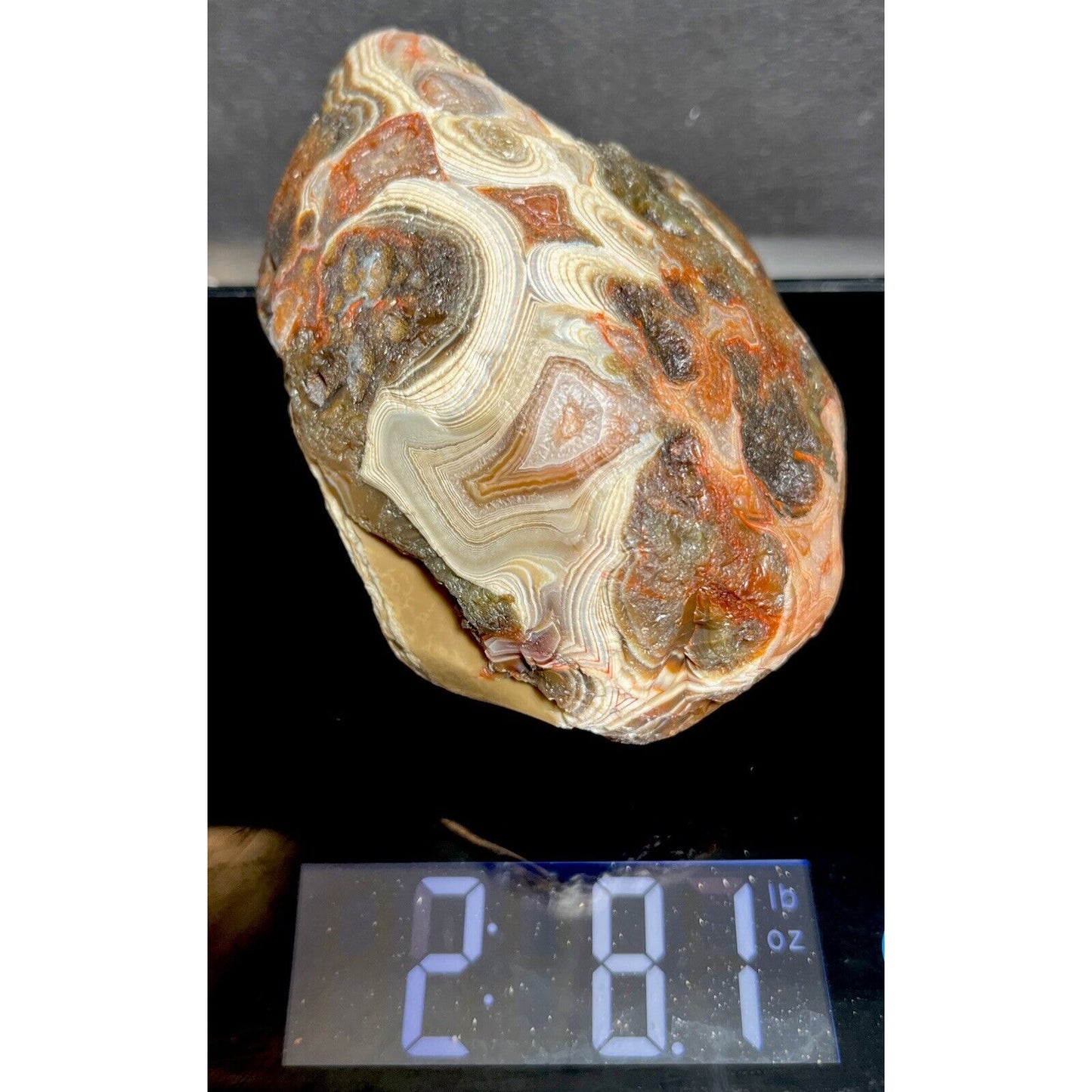 2 Lb 8 oz King Of Peelers Swirl Banded Lake Superior Agate. Centerpiece.