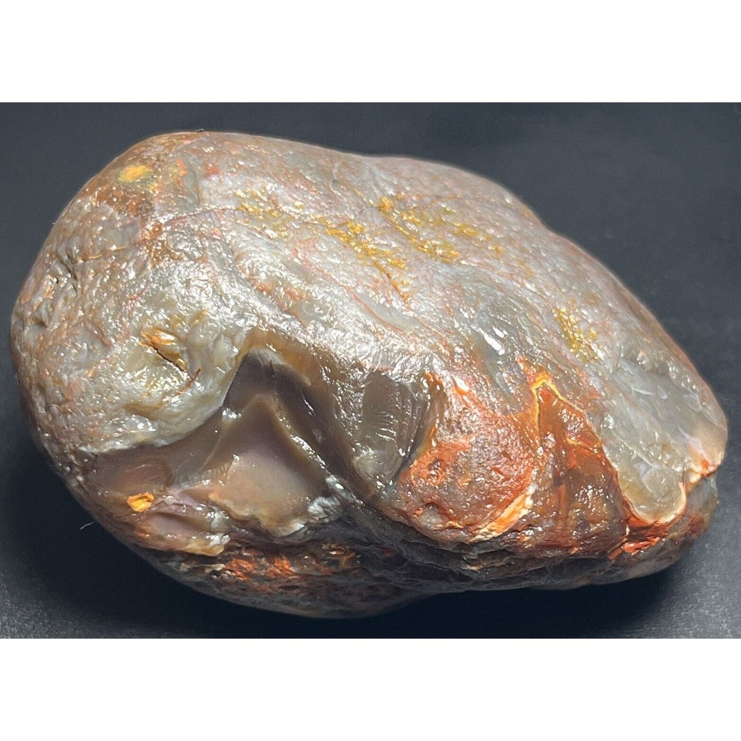 15.6 oz Full Nodule Uncut Jelly W/Bright Orange Highlights Lake Superior Agate.