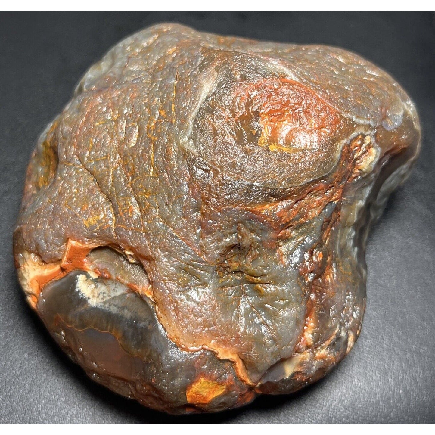 15.6 oz Full Nodule Uncut Jelly W/Bright Orange Highlights Lake Superior Agate.
