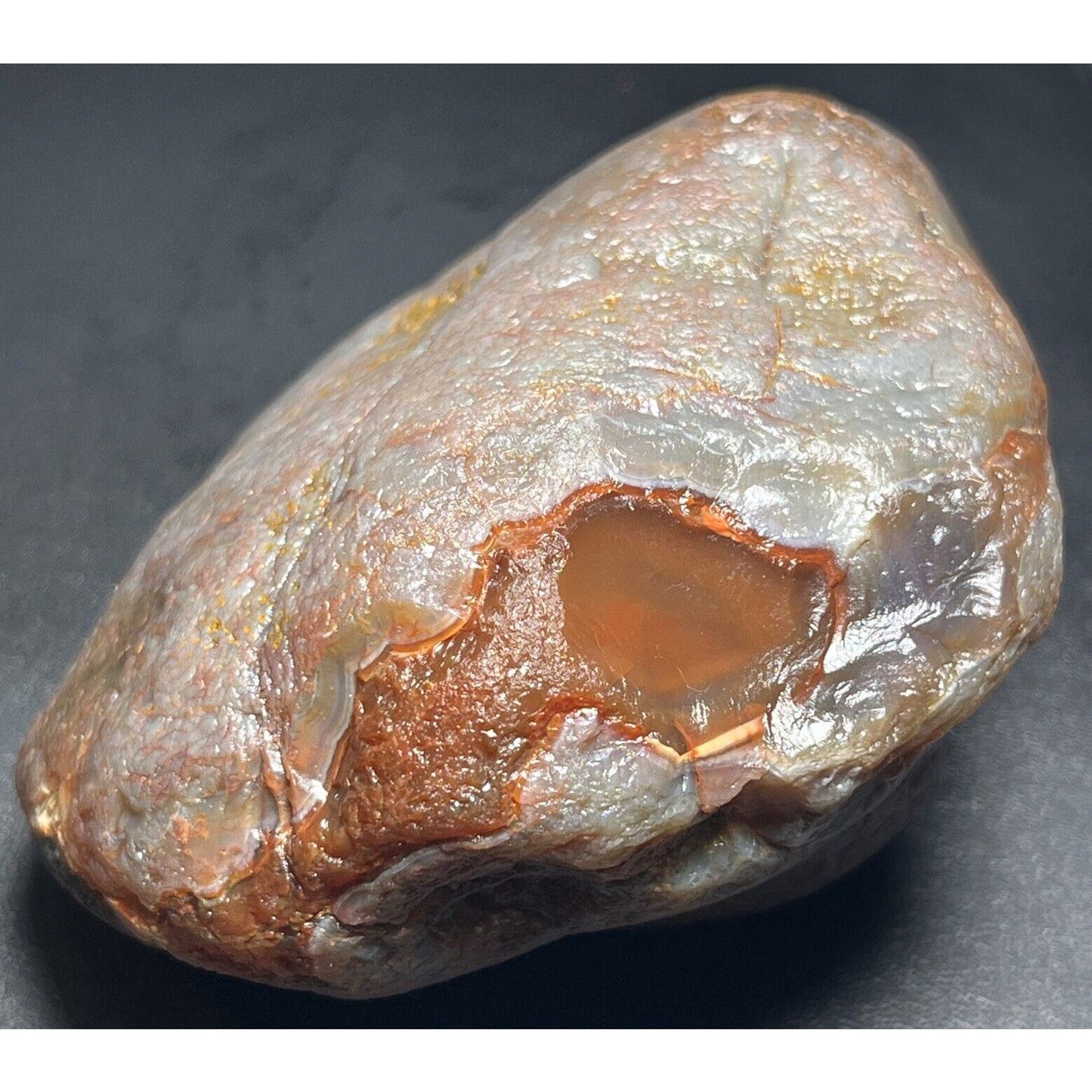 15.6 oz Full Nodule Uncut Jelly W/Bright Orange Highlights Lake Superior Agate.