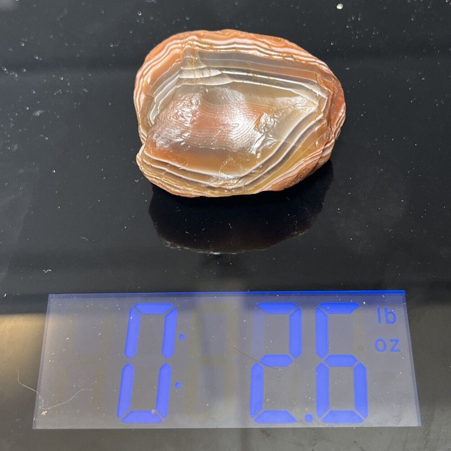 2.6 oz Top Shelf Gemstone Fortification Banded With Eyes Lake Superior Agate