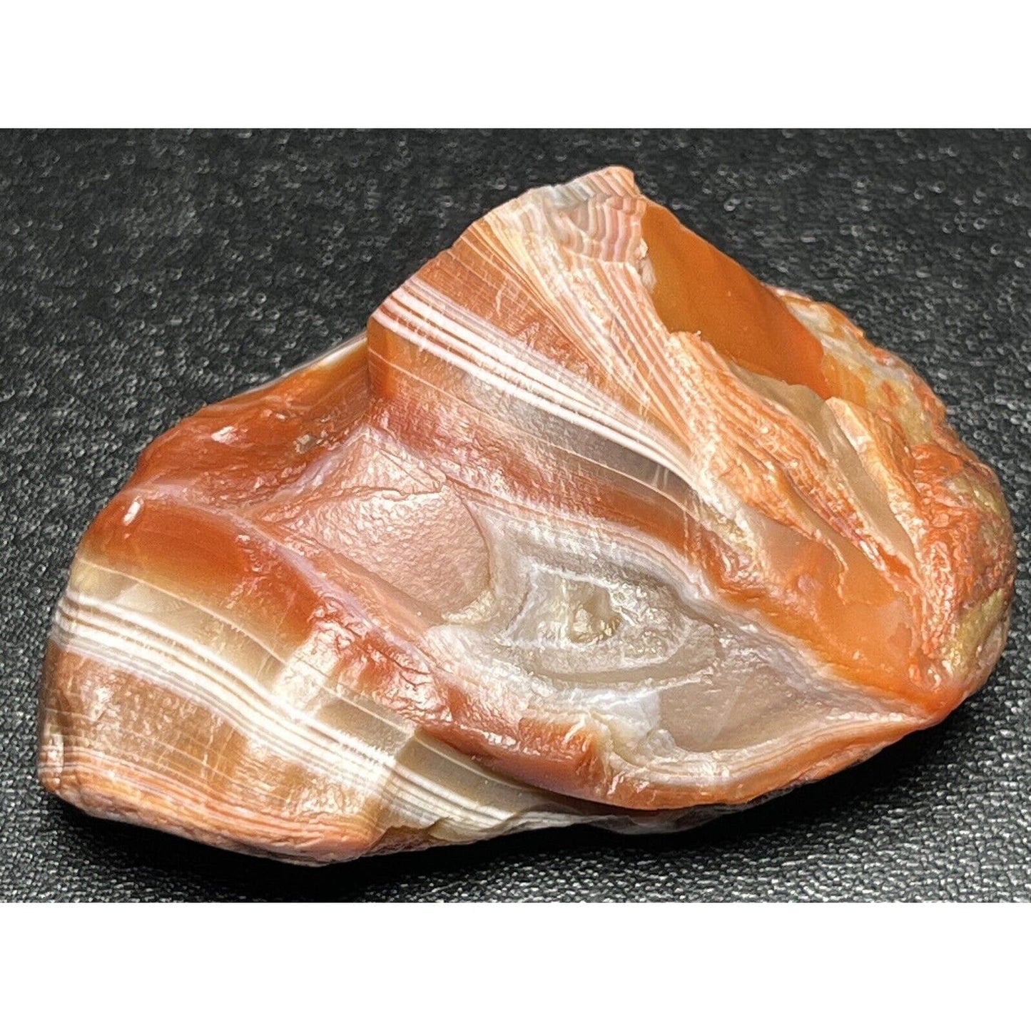 1.8 oz Stunning Edgy Candy Bander Lake Superior Agate. Mn State Gemstone.