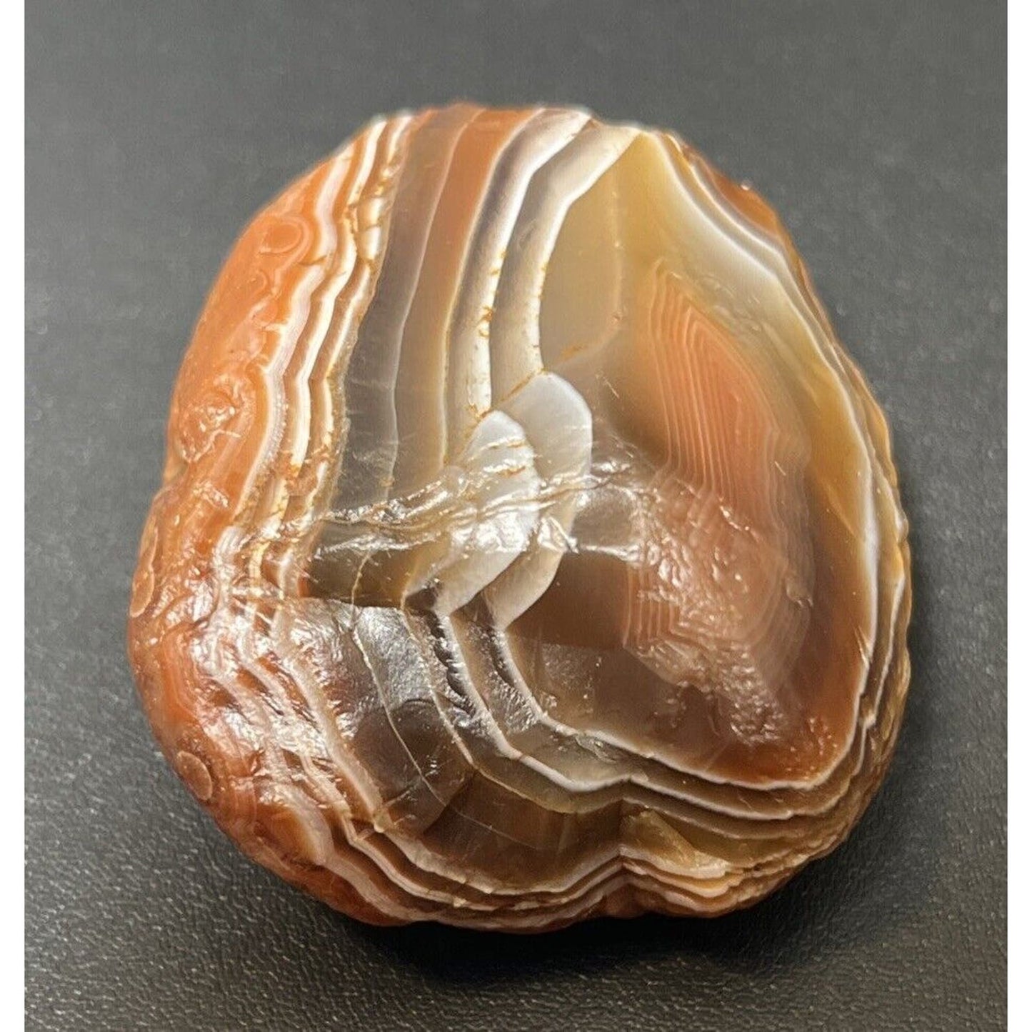 2.6 oz Top Shelf Gemstone Fortification Banded With Eyes Lake Superior Agate