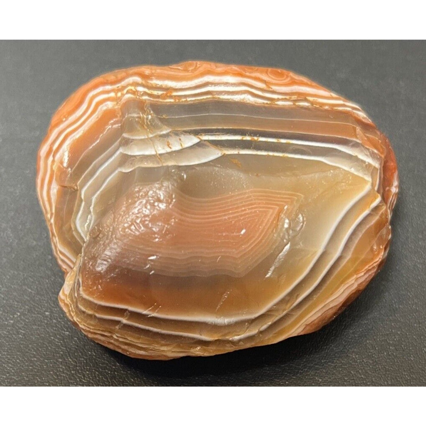 2.6 oz Top Shelf Gemstone Fortification Banded With Eyes Lake Superior Agate