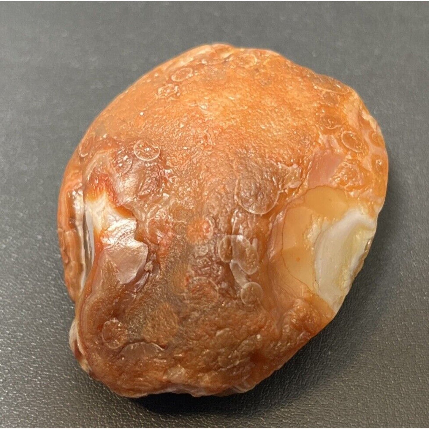 2.6 oz Top Shelf Gemstone Fortification Banded With Eyes Lake Superior Agate