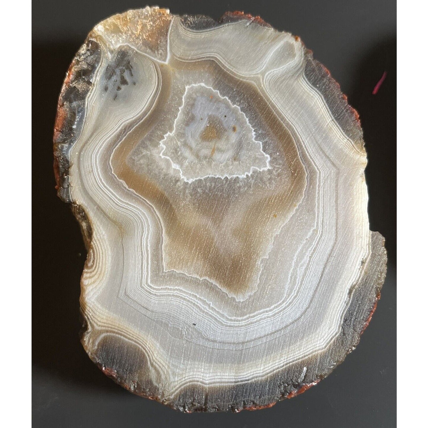 1 lb 11.5 oz Stunning Floater Sliced Lake Superior Agate.