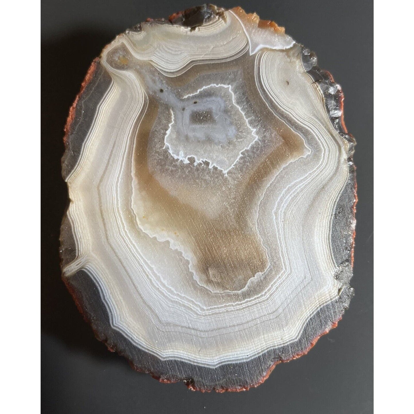 1 lb 11.5 oz Stunning Floater Sliced Lake Superior Agate.
