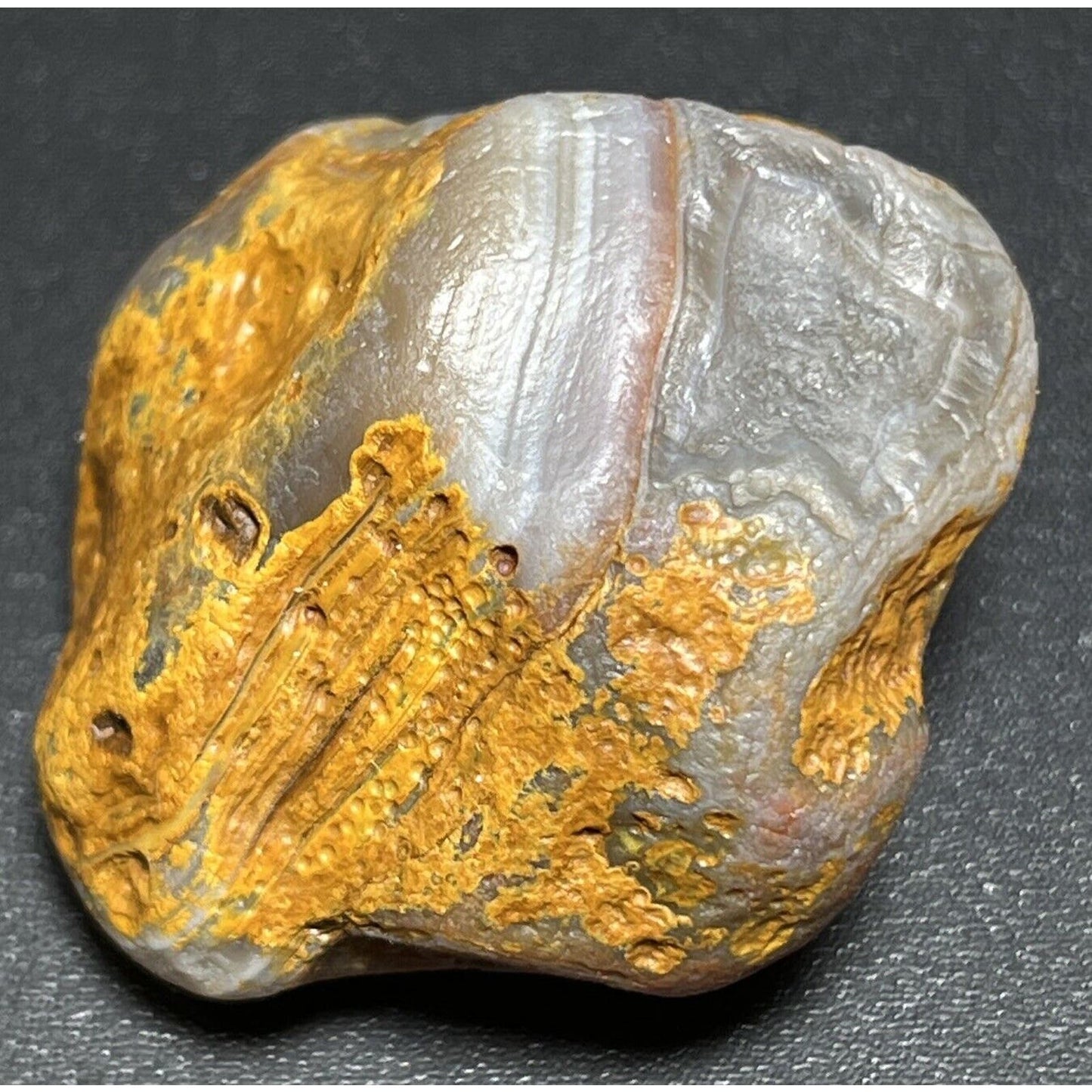 1.8 oz Water Level Lake Superior Agate. Mn State Gemstone.