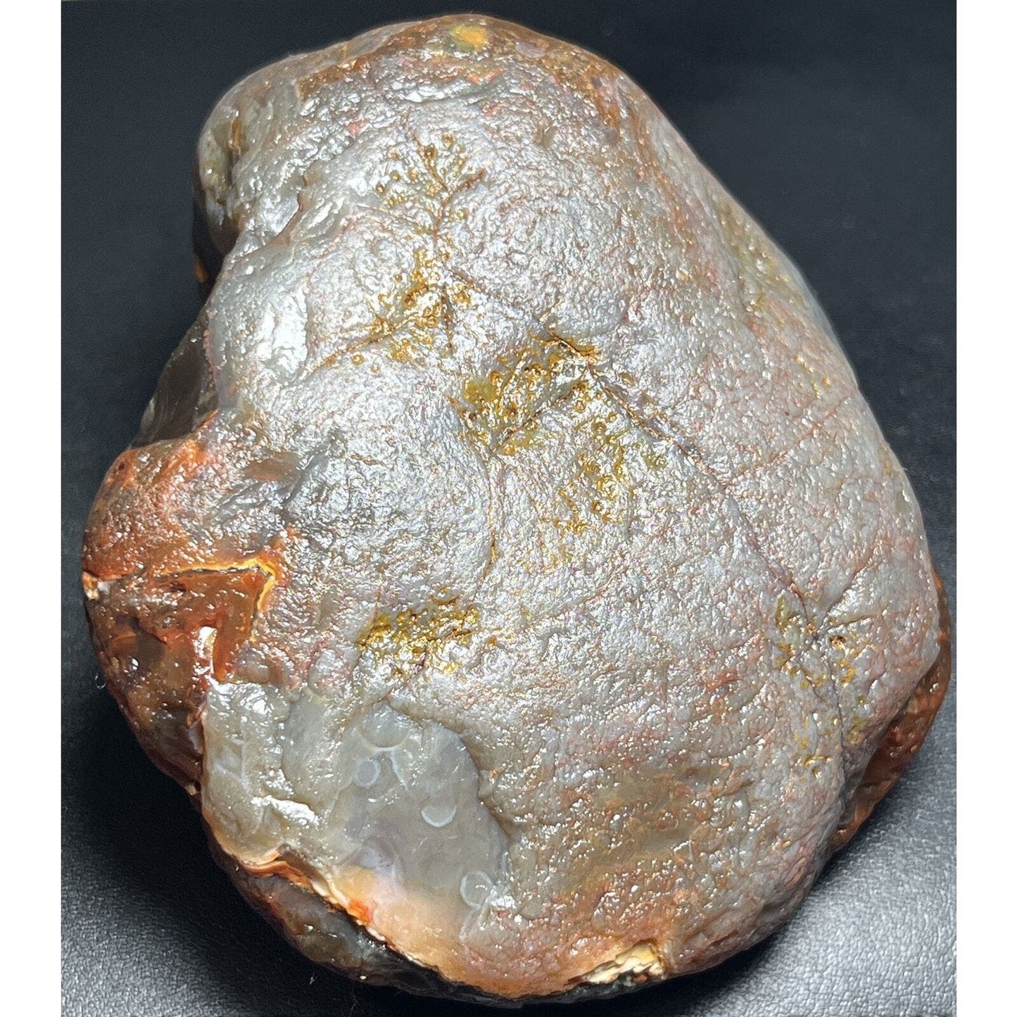 15.6 oz Full Nodule Uncut Jelly W/Bright Orange Highlights Lake Superior Agate.