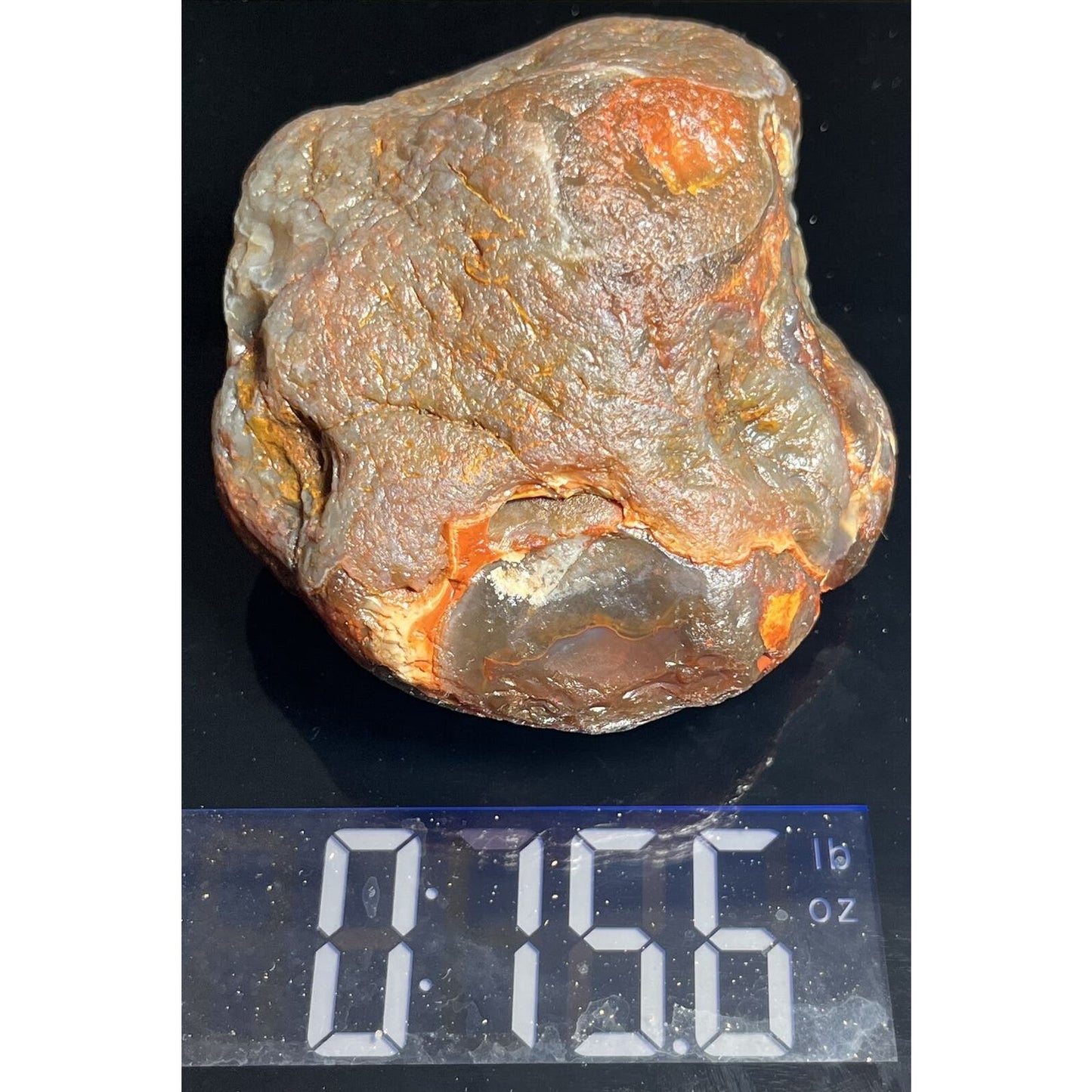 15.6 oz Full Nodule Uncut Jelly W/Bright Orange Highlights Lake Superior Agate.