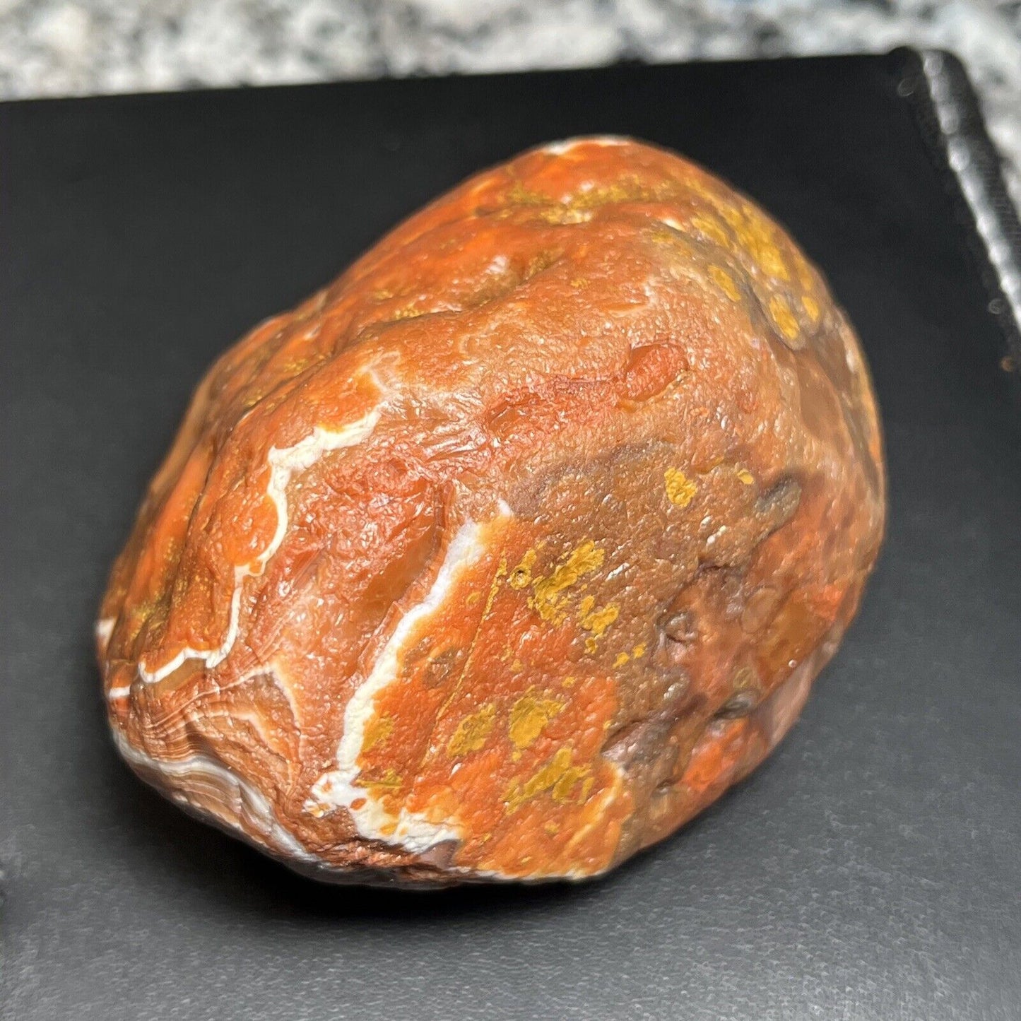 15.6 oz Gorgeous Red & White Floater Lake Superior Agate.