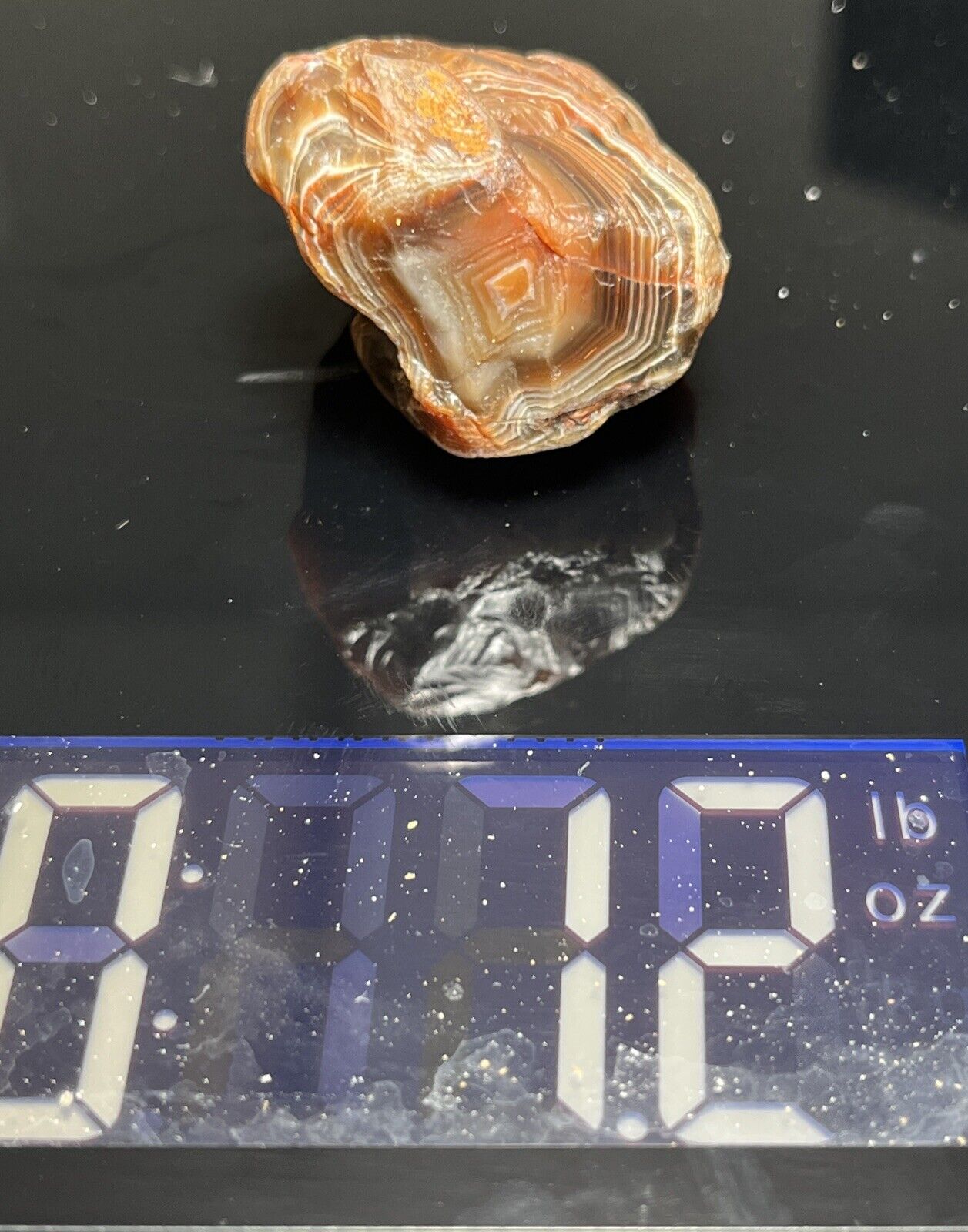 1.2 oz Classic Gemmy Fortification Lake Superior Agate. Mn State Gemstone.