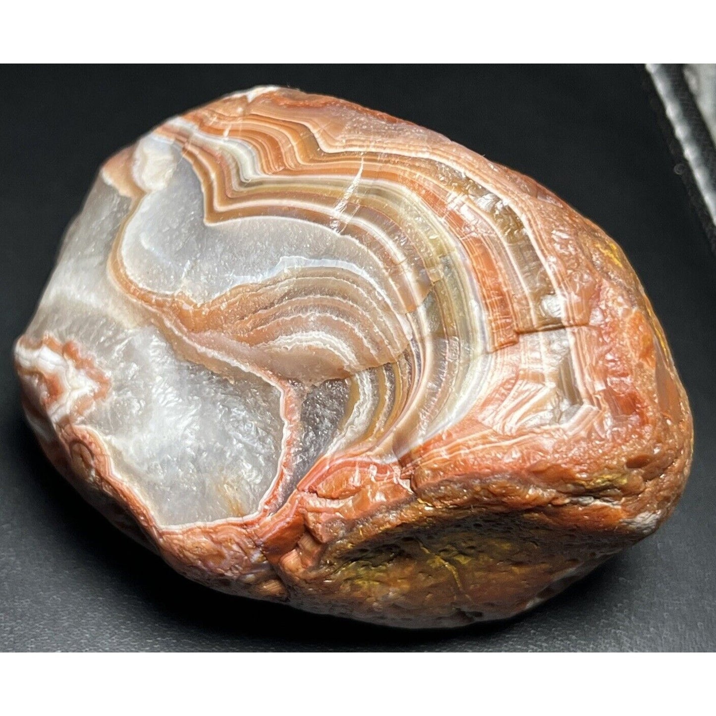 15.6 oz Gorgeous Red & White Floater Lake Superior Agate.