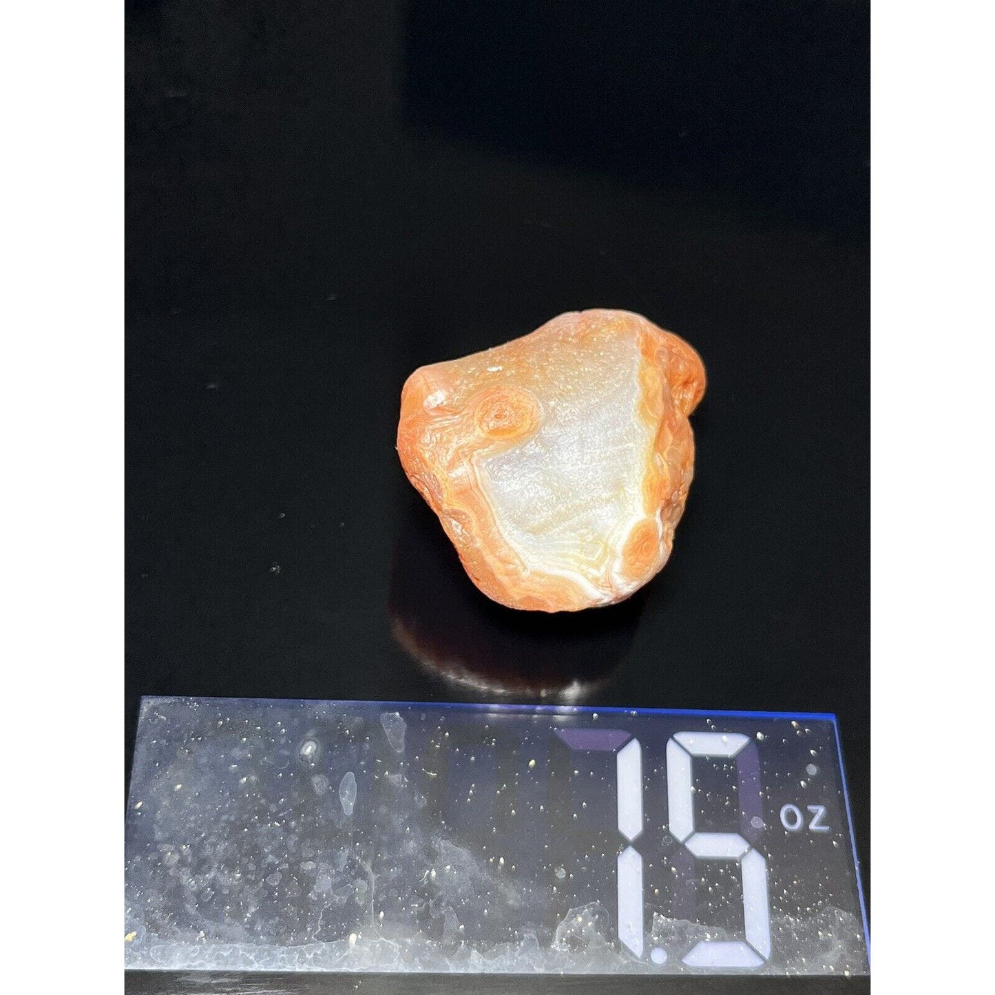 1.5 oz LSA with Stair step Quartz Banding & Nice Peel On The Husk.