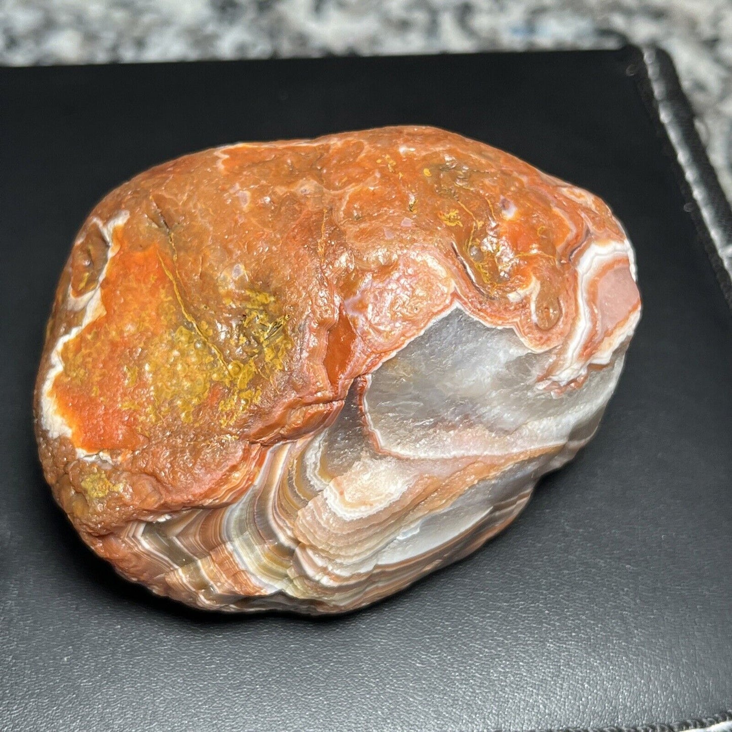 15.6 oz Gorgeous Red & White Floater Lake Superior Agate.