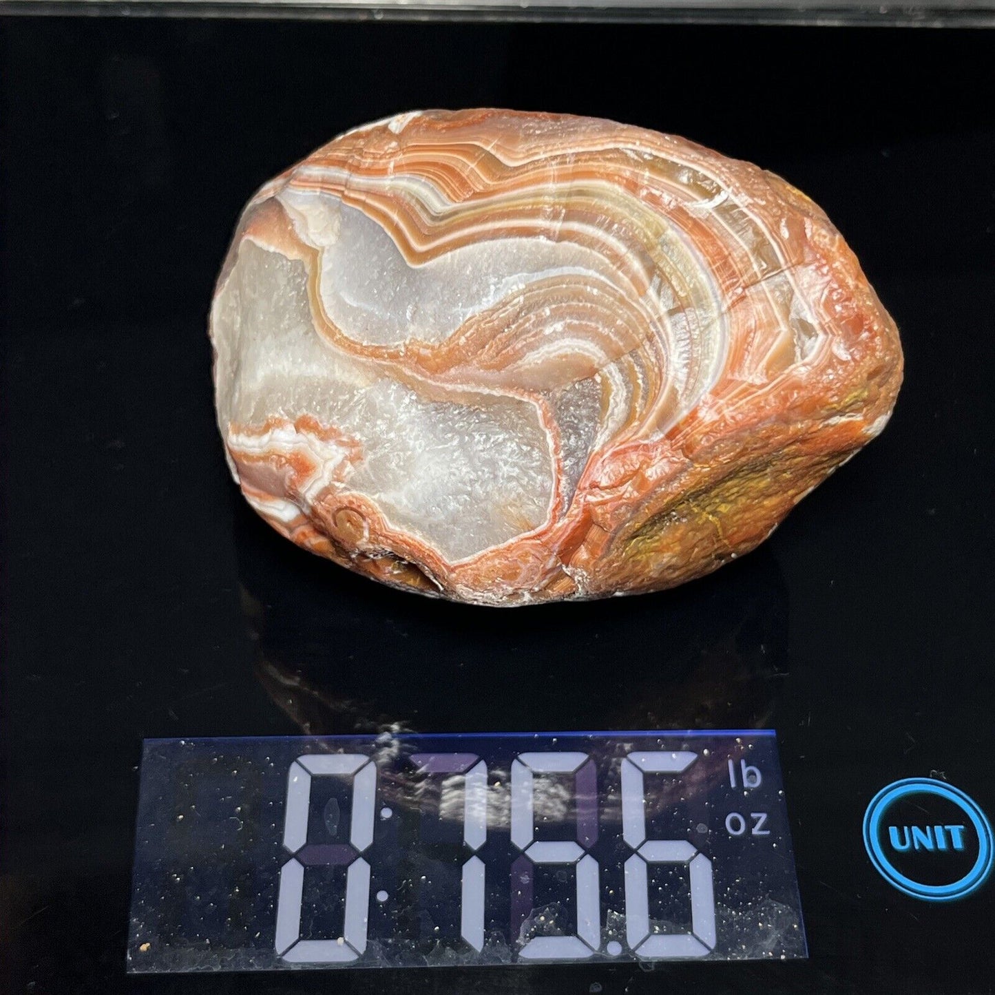 15.6 oz Gorgeous Red & White Floater Lake Superior Agate.