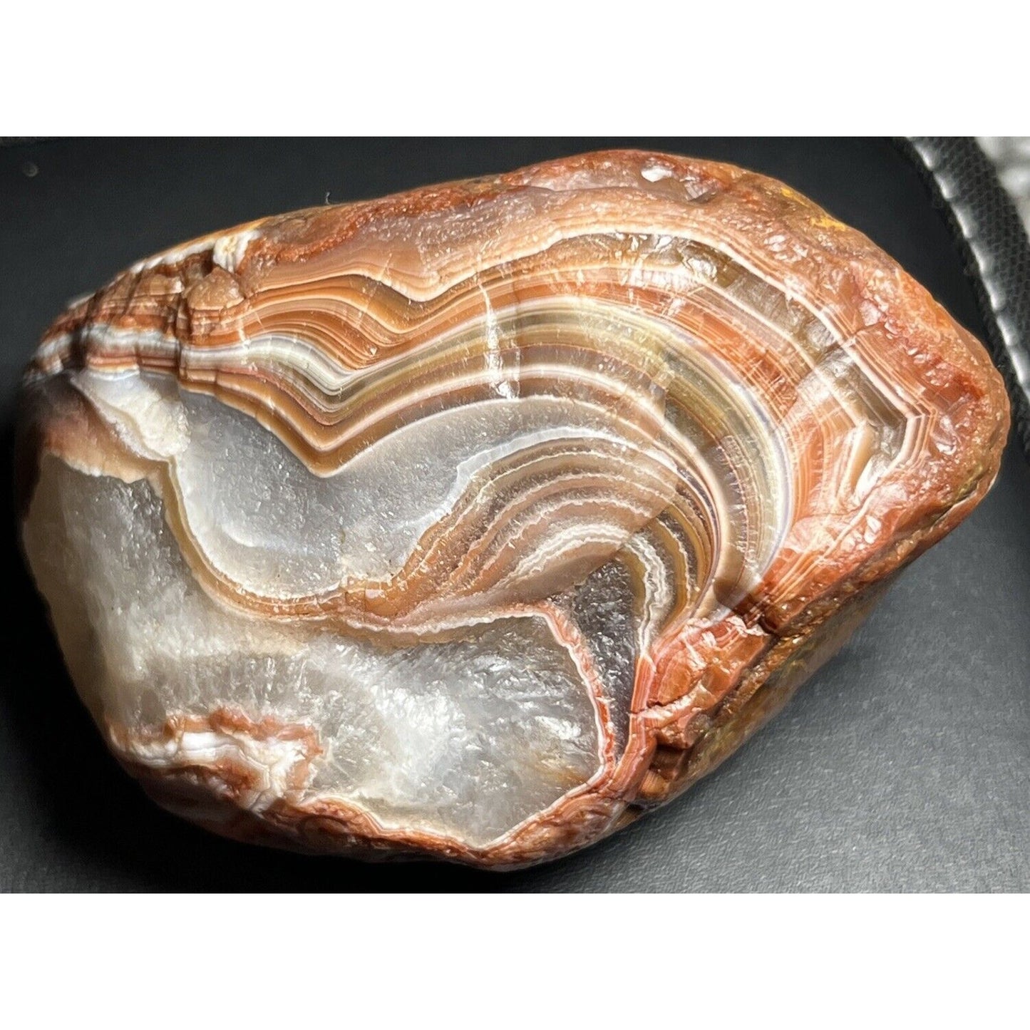 15.6 oz Gorgeous Red & White Floater Lake Superior Agate.