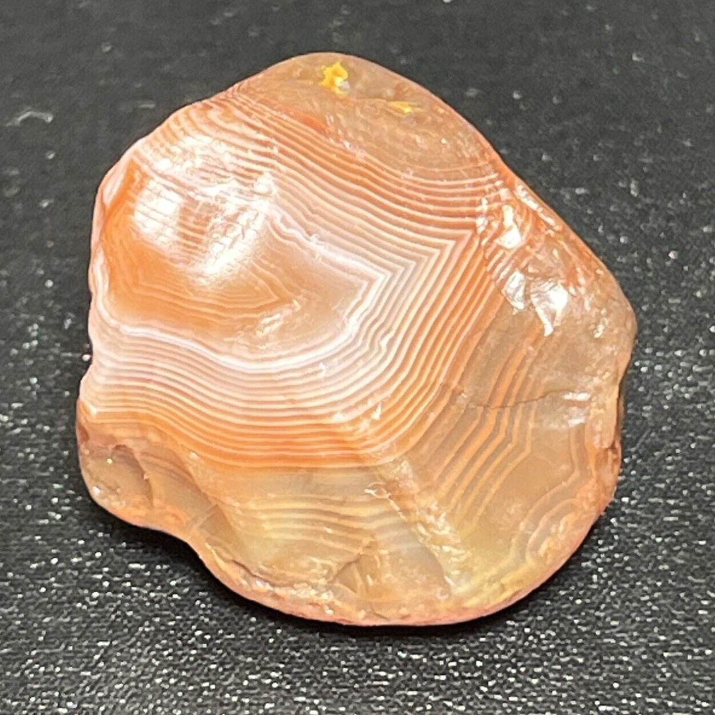 .6 oz Stunning Paint Lake Superior Agate