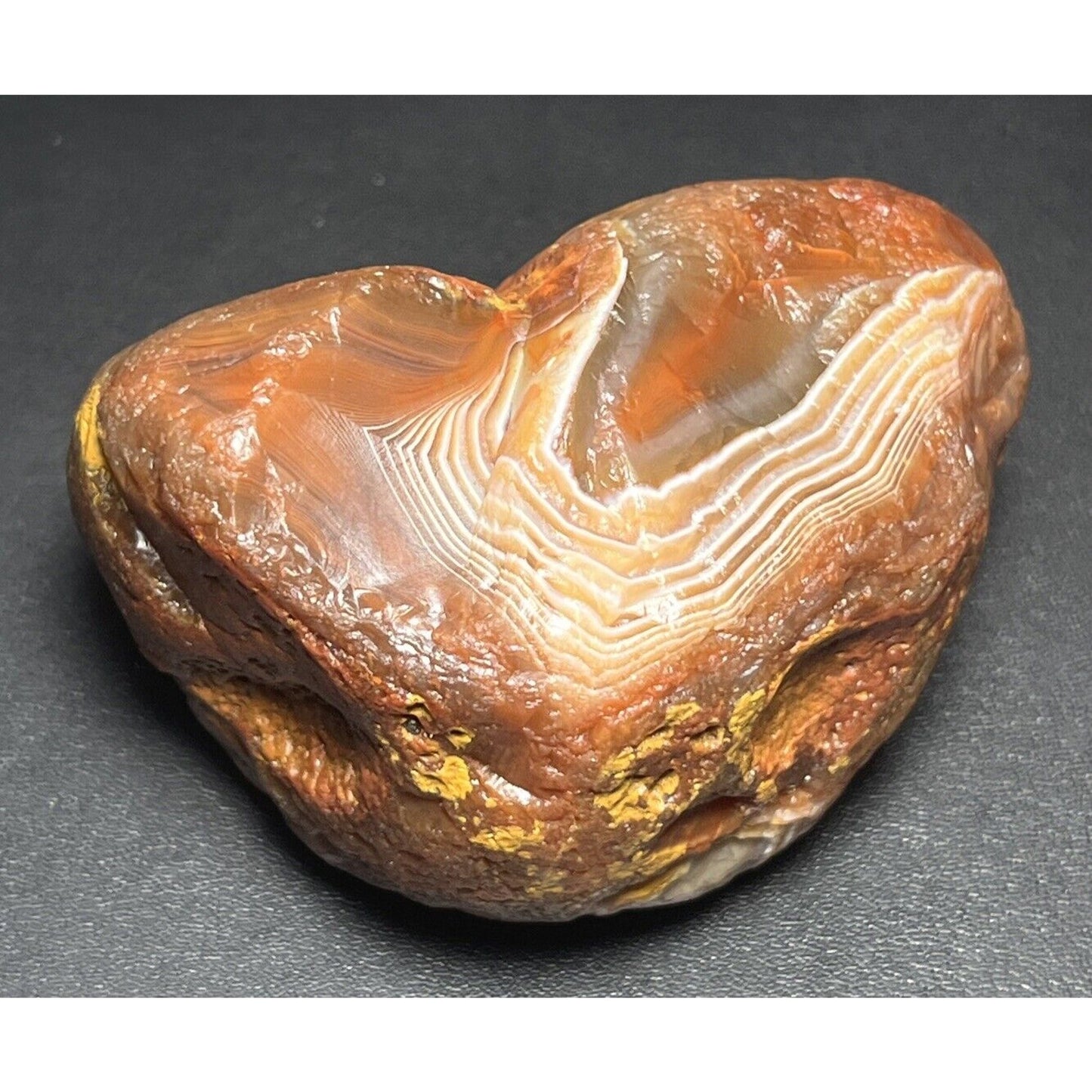 7.6 oz Classic Red & White Fortification Banded Lake Superior Agate.