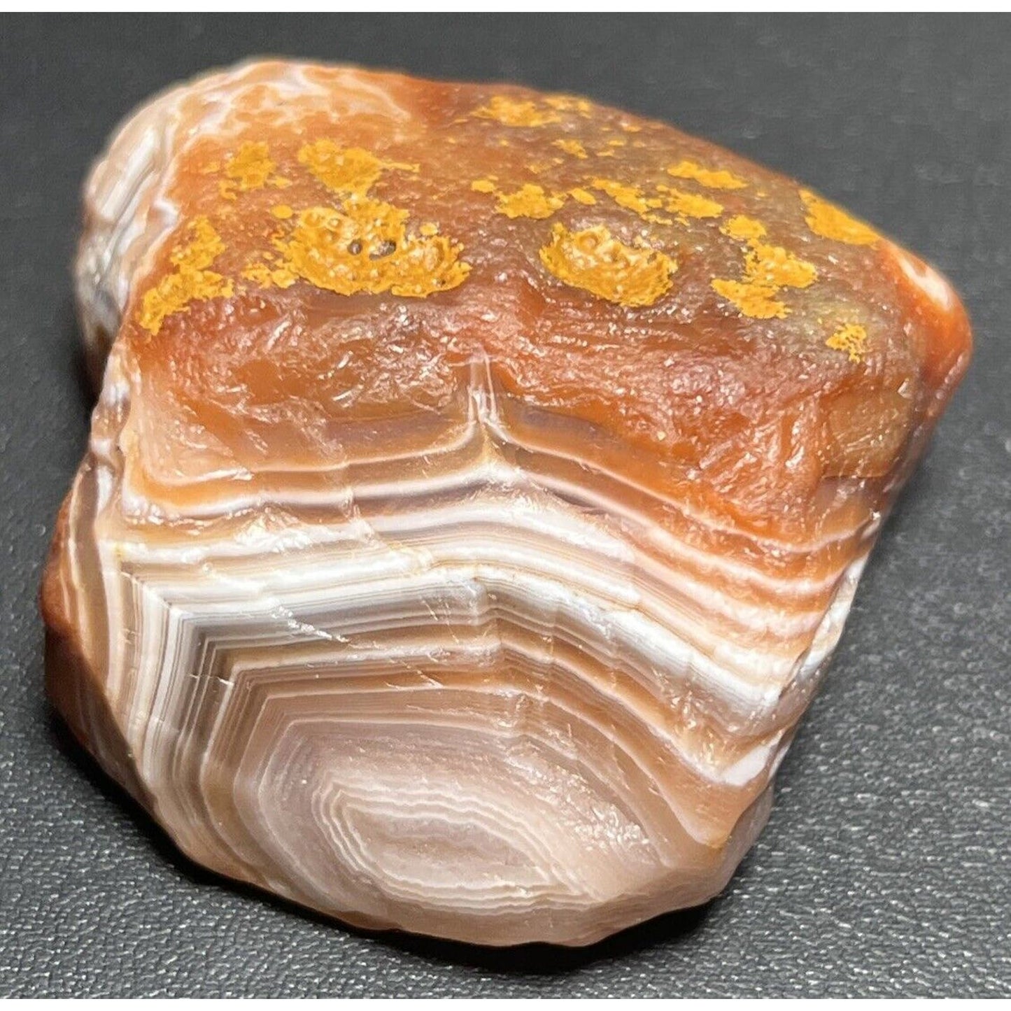 2 oz Red & White Fortification Lake Superior Agate. Mn State Gemstone.