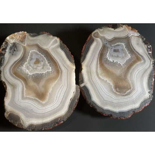 1 lb 11.5 oz Stunning Floater Sliced Lake Superior Agate.