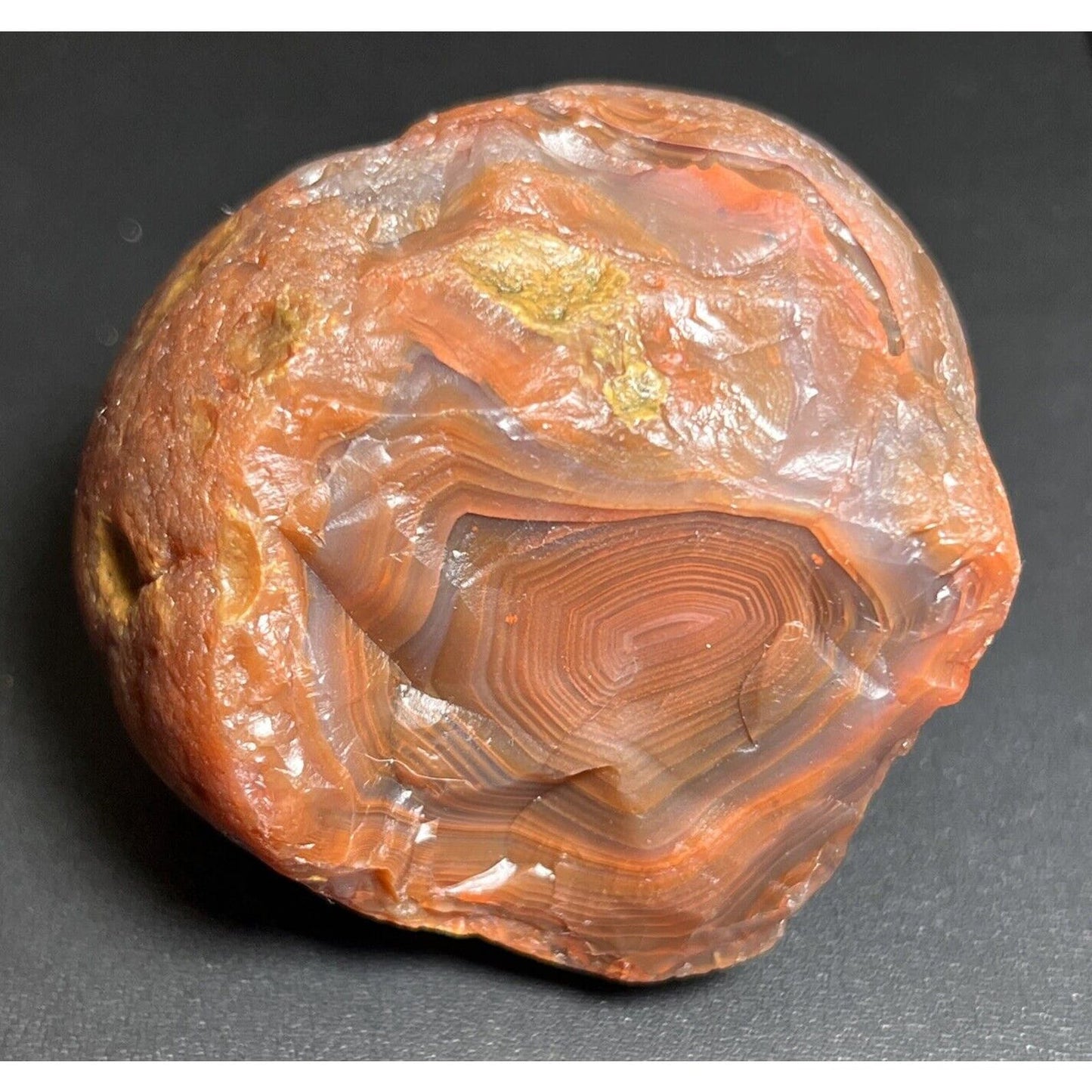 5.6 oz Bullseye Banded Lake Superior Agate