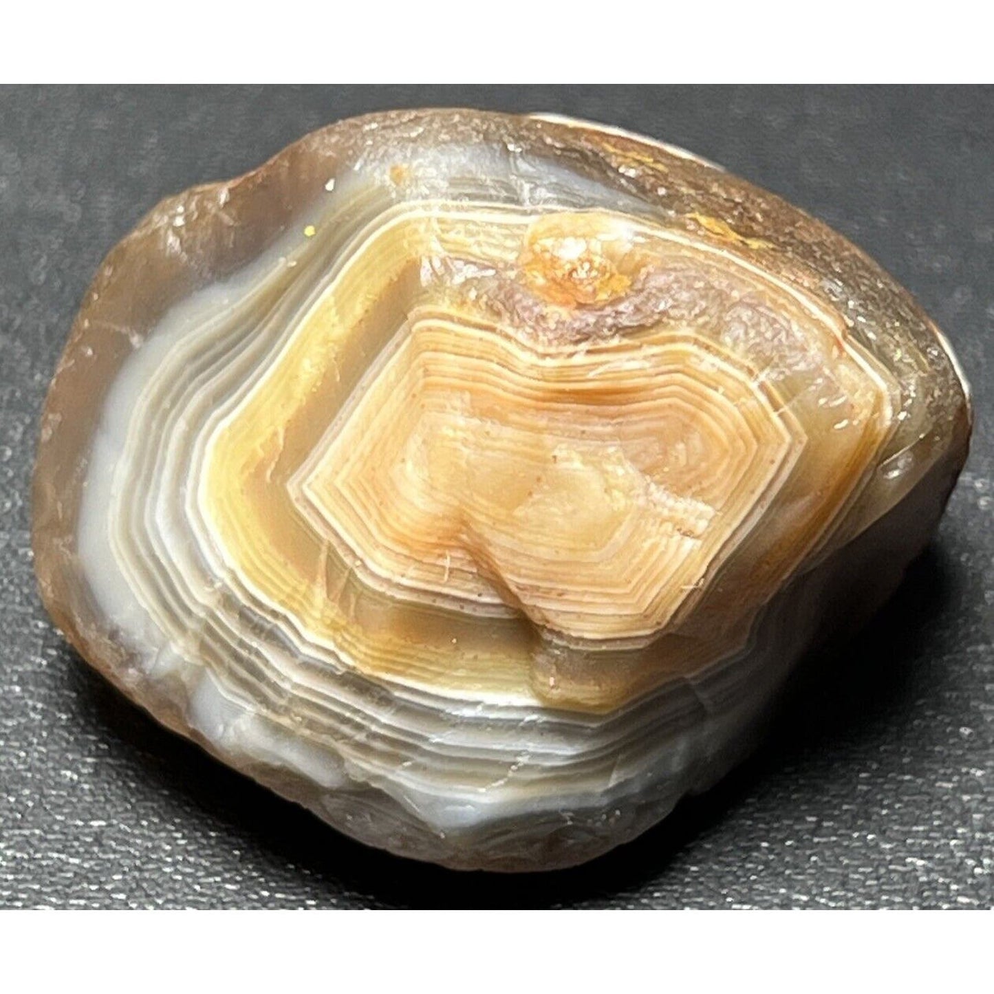 1 oz Fortification Eye Lake Superior Agate.