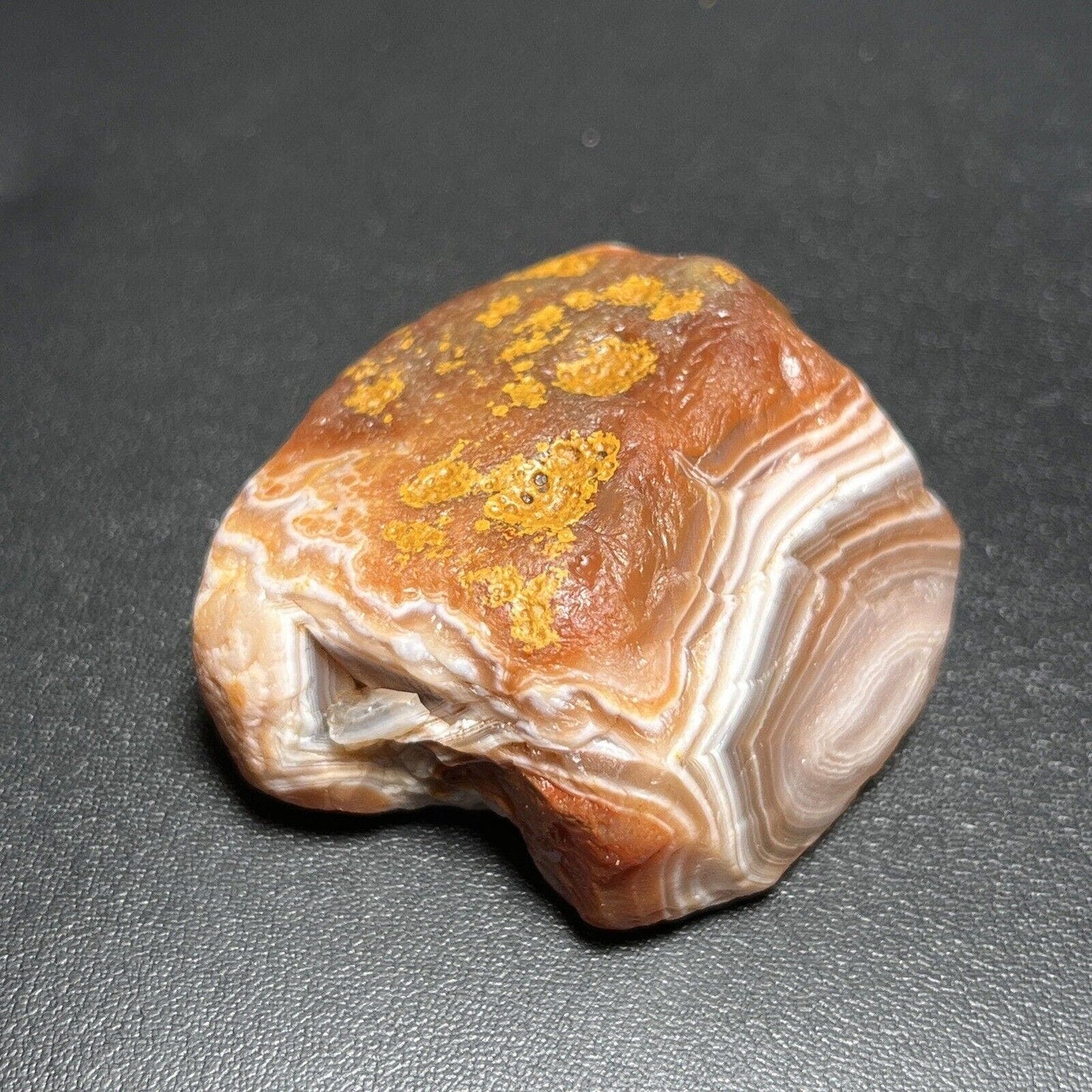 2 oz Red & White Fortification Lake Superior Agate. Mn State Gemstone.