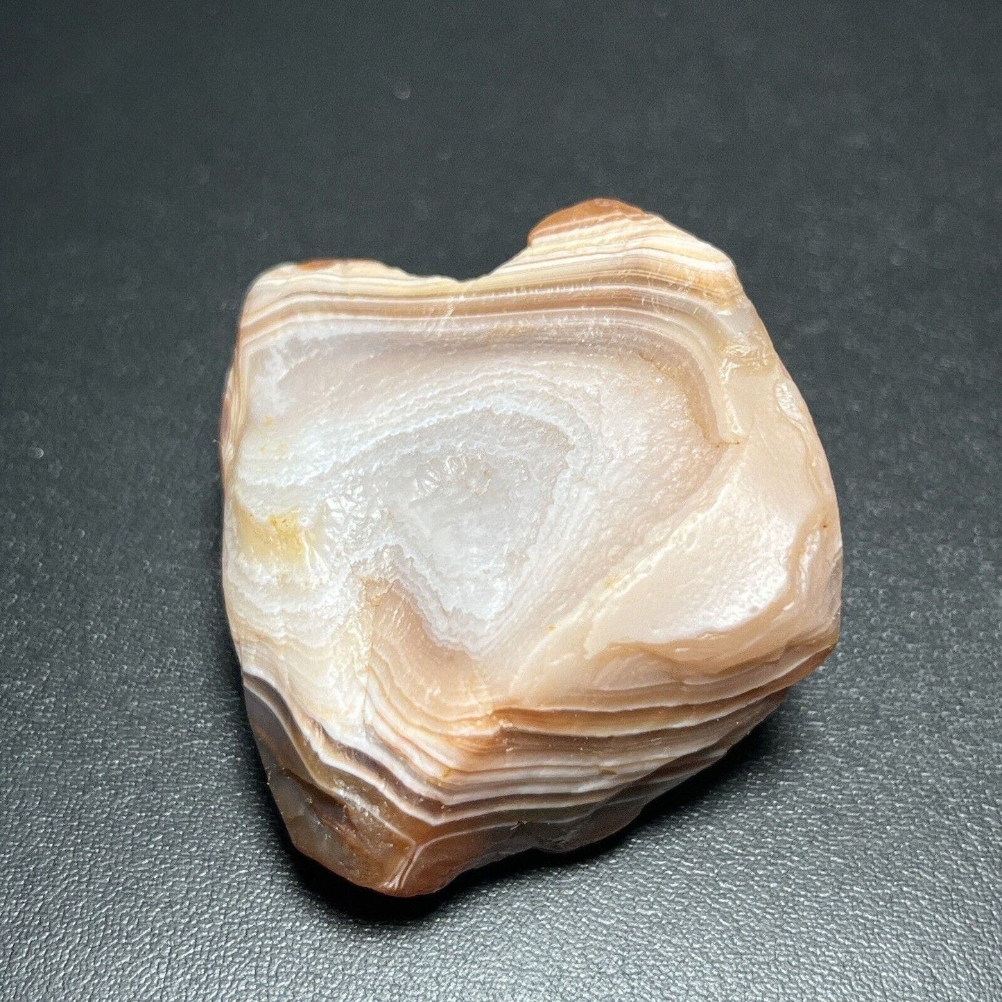 2 oz Red & White Fortification Lake Superior Agate. Mn State Gemstone.