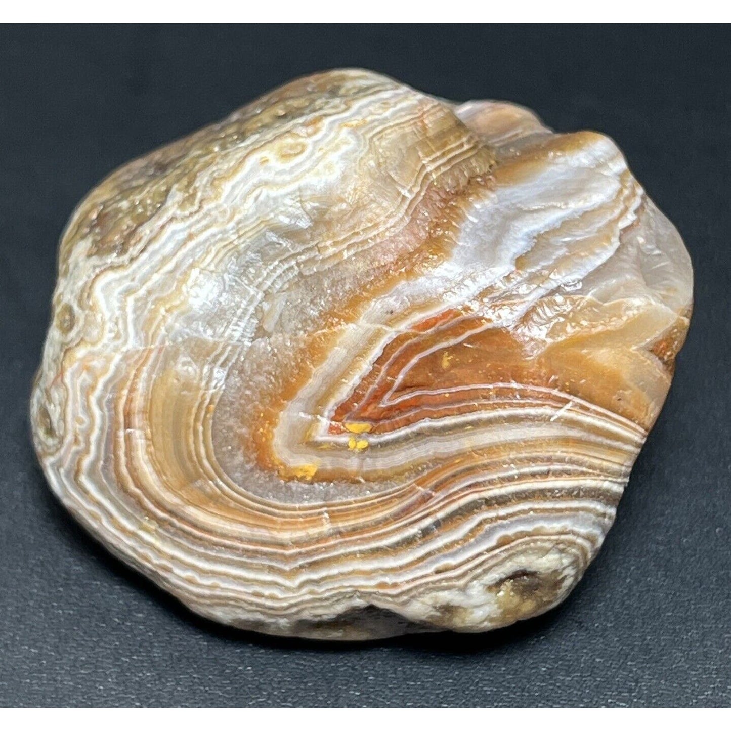 3.6 oz Killer Wrap Around Banded Lake Superior Agate