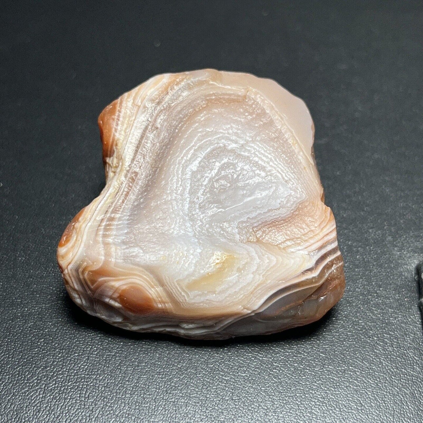 2 oz Red & White Fortification Lake Superior Agate. Mn State Gemstone.